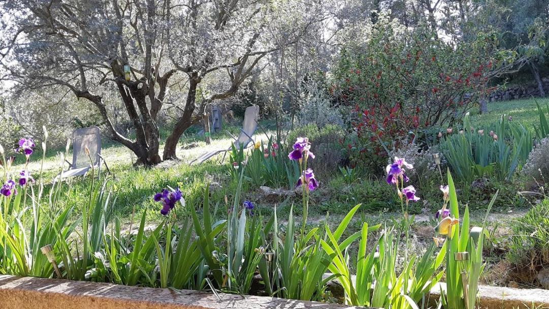 Loucabanon Var Draguignan Exteriér fotografie