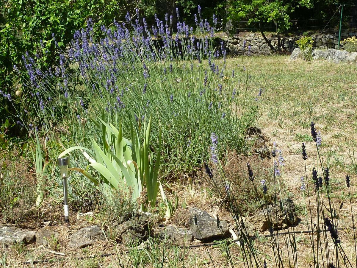 Loucabanon Var Draguignan Exteriér fotografie